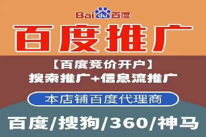 成功案例解析：SEM竞价托管的优化之路